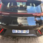 byd dolphin surf