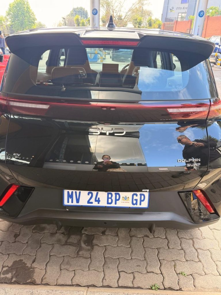 byd dolphin surf