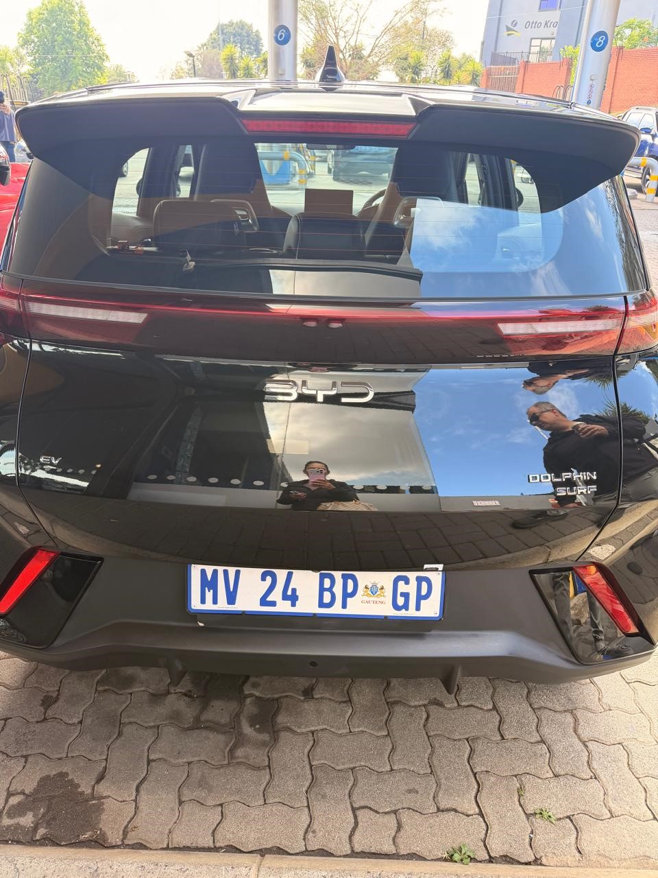 byd dolphin surf