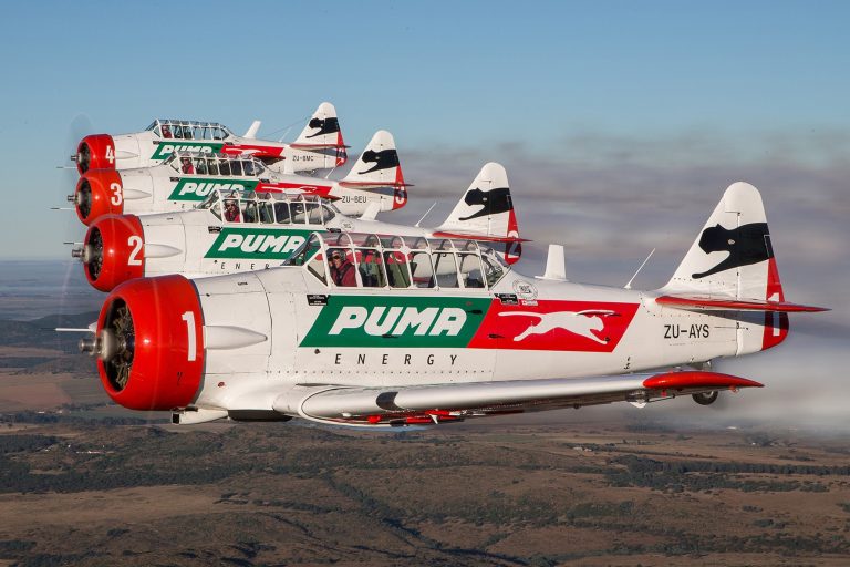 Puma Flying Lions